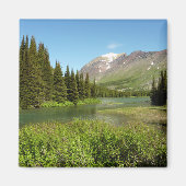 Grinnell Creek in Glacier National Park Magneet (Voorkant)