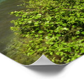 Grinnell Creek in Glacier National Park Poster (Hoek)