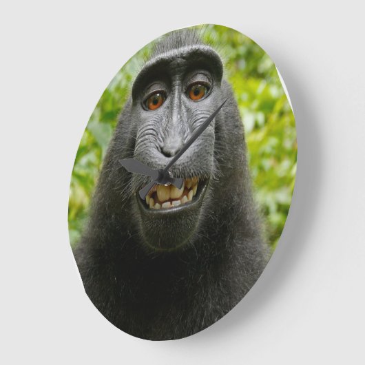 Grinning-aap Grote Klok (Hoek)