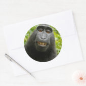 Grinning-aap Ronde Sticker (Envelop)