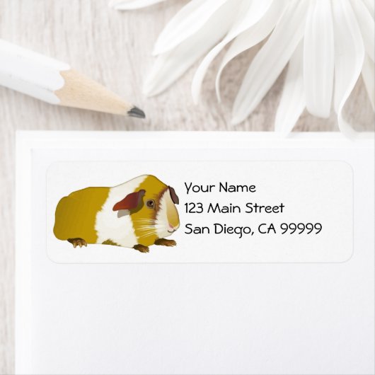 Grinning cavia etiket (Insitu)