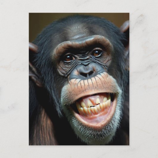 Grinning Chimpansee Briefkaart (Voorkant)