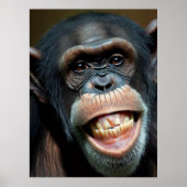 Grinning Chimpansee Poster (Voorkant)