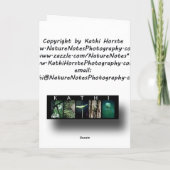 Grinning Groundhog Wenskaart Kaart (Achterkant)