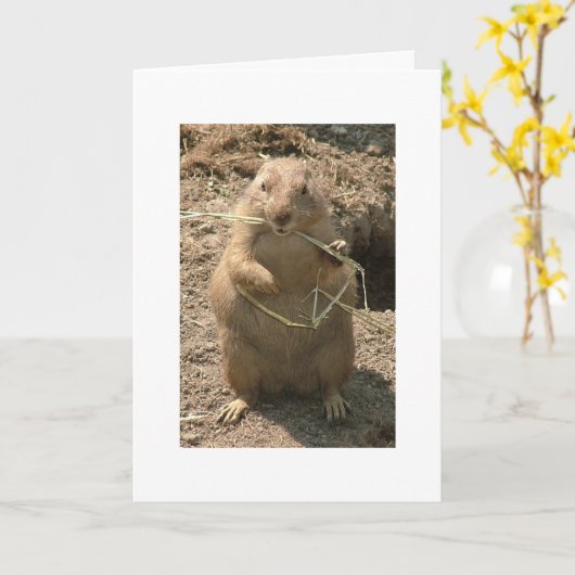 Grinning Groundhog Wenskaart Kaart (Gele Bloem)
