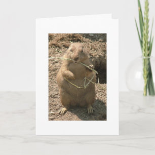 Grinning Groundhog Wenskaart Kaart