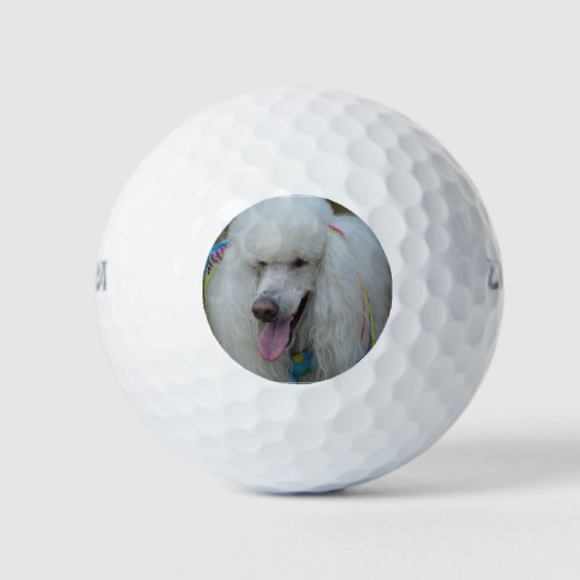 Grinning witte standaard poedel golfballen (Voorkant)