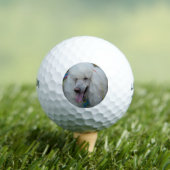 Grinning witte standaard poedel golfballen (Insitu Shirt)