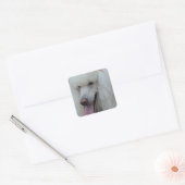 Grinning witte standaard poedel vierkante sticker (Envelop)