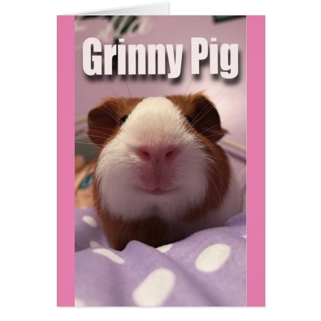 Grinny pig (Voorkant)