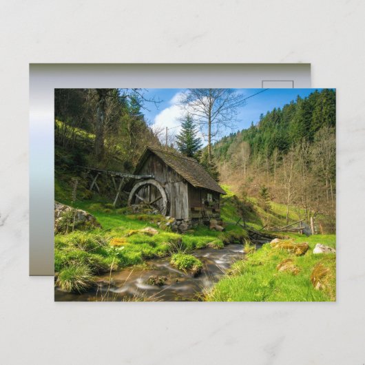 Grist Mill in het Zwarte Woud Briefkaart (Voorkant / Achterkant)