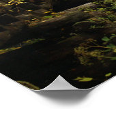 Grist Mill Smoky Mountains Poster (Hoek)