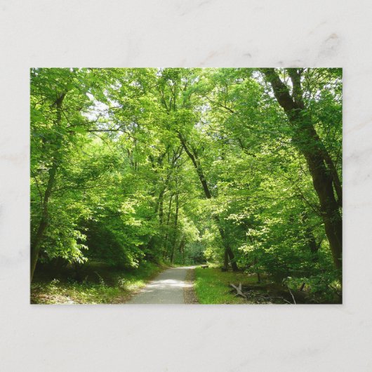 Grist Mill Trail I Briefkaart (Voorkant)
