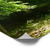 Grist Mill Trail I Poster (Hoek)