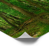 Grist Mill Trail II Poster (Hoek)