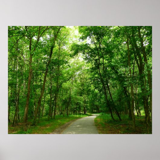 Grist Mill Trail II Poster (Voorkant)