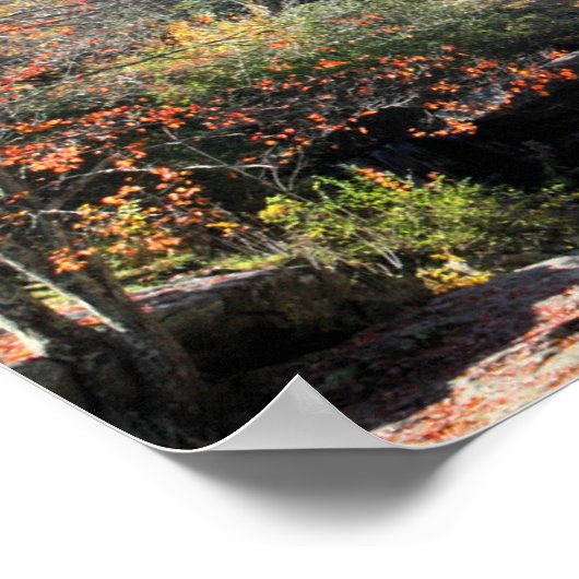 Grist Mills Herfsten Poster (Hoek)