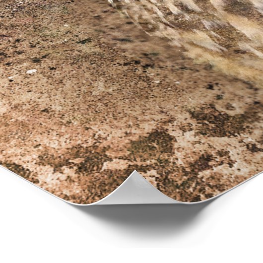 Gritty Eagle Owl Poster (Hoek)