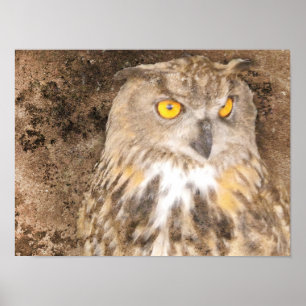 Gritty Eagle Owl Poster