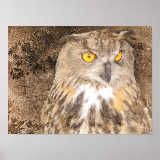 Gritty Eagle Owl Poster (Voorkant)