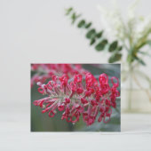 grivillebloem briefkaart (Staand voorkant)