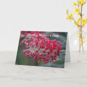 grivillebloem kaart (Gele Bloem)