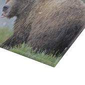 Griz snijbord Hongaars Beer Snijplank (Hoek)