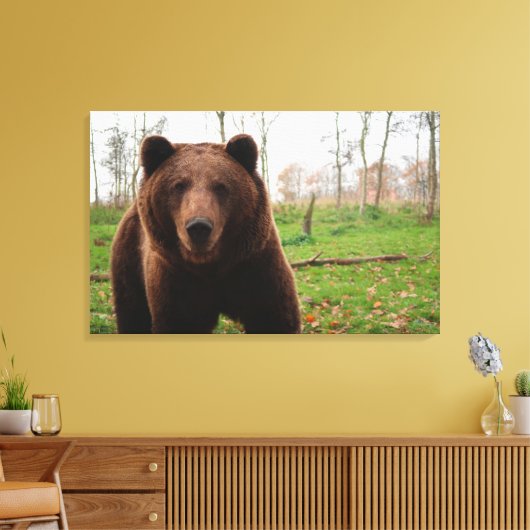 GRIZZELF BEER FOTOGRAFIE GEWRAPPEERDE CANVAS (Insitu (Woonkamer))