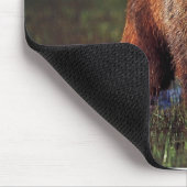 GRIZZELF IN WATERMOUSEPAD MUISMAT (Hoek)