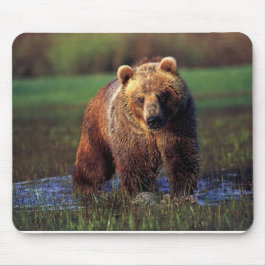 GRIZZELF IN WATERMOUSEPAD MUISMAT