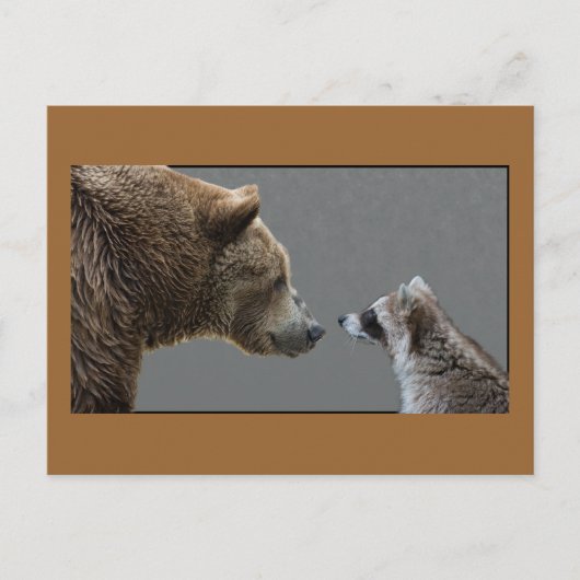 Grizzle Beer ontmoet Raccoon Briefkaart (Voorkant)