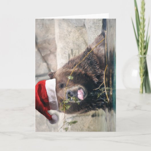 Grizzley draagt in een Pet van de Kerstman Feestdagen Kaart (Voorkant)