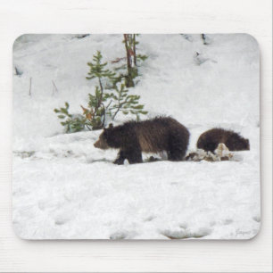 Grizzlies in de sneeuw muismat