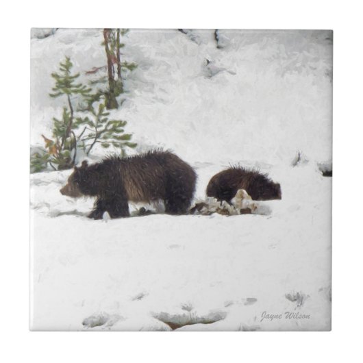 Grizzlies in de sneeuw tegeltje (Voorkant)