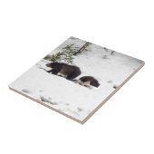 Grizzlies in de sneeuw tegeltje (Zijkant)