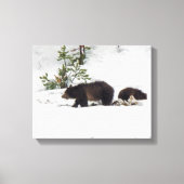 Grizzlies in het Sneeuwgestrekte Canvas (Voorkant)