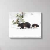Grizzlies in het Sneeuwgestrekte Canvas (Voorkant)