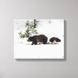 Grizzlies in het Sneeuwgestrekte Canvas