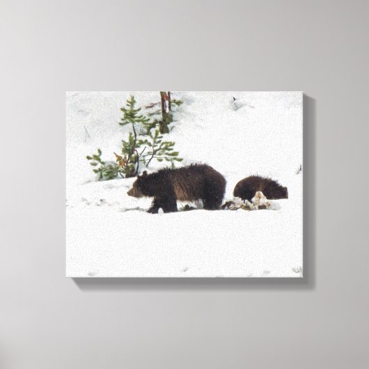 Grizzlies in het Sneeuwgestrekte Canvas (Voorkant)