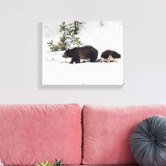 Grizzlies in het Sneeuwgestrekte Canvas Afdruk (Insitu (Woonkamer))