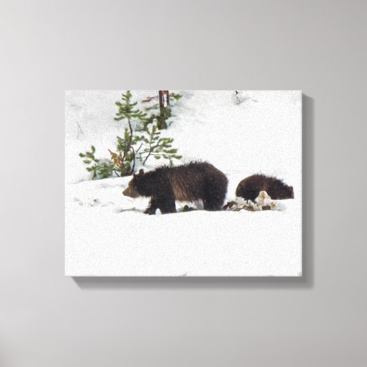 Grizzlies in het Sneeuwgestrekte Canvas Afdruk (Voorkant)