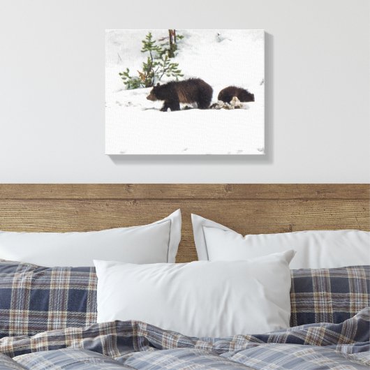 Grizzlies in het Sneeuwgestrekte Canvas Afdruk (Insitu (Slaapkamer))