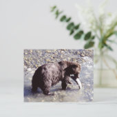 Grizzly bear catching a fish on Vancouver Island Briefkaart (Staand voorkant)
