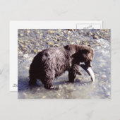 Grizzly bear catching a fish on Vancouver Island Briefkaart (Voorkant / Achterkant)