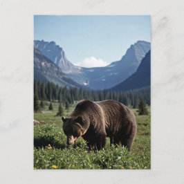 Grizzly Bear in Glacier National Park Travel Briefkaart