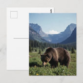 Grizzly Bear in Glacier National Park Travel Briefkaart (Voorkant / Achterkant)