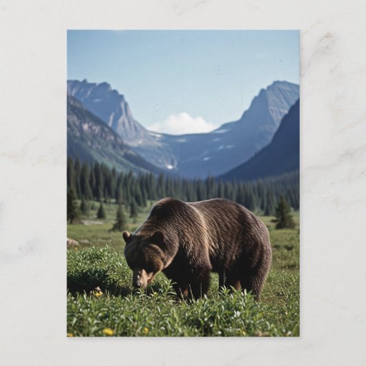 Grizzly Bear in Glacier National Park Travel Briefkaart (Voorkant)