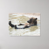 GRIZZLY BEAR Opgespannen Canvasprint Canvas Afdruk (Voorkant)
