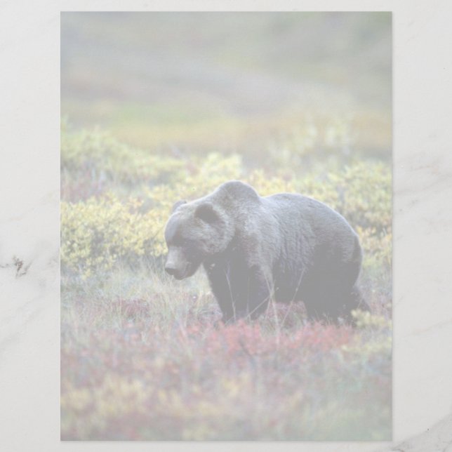 Grizzly Beer (Voorkant)