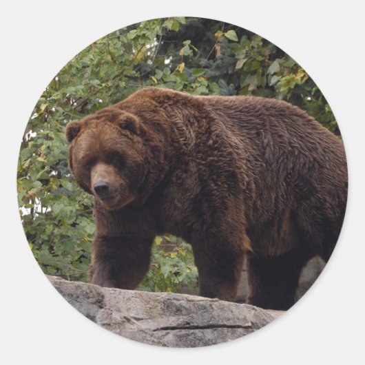 grizzly-beer-004 ronde sticker (Voorkant)